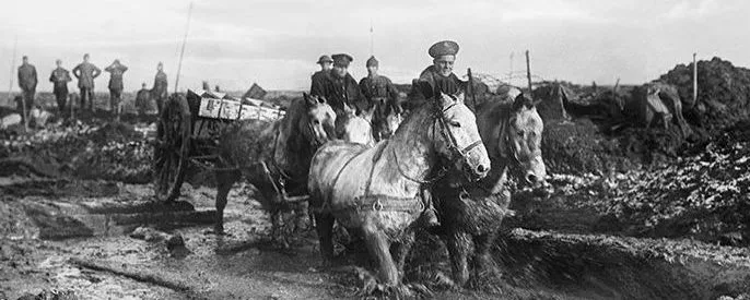 Horses-pulling-cart-in-World-War-One-©Imperial-War-museum