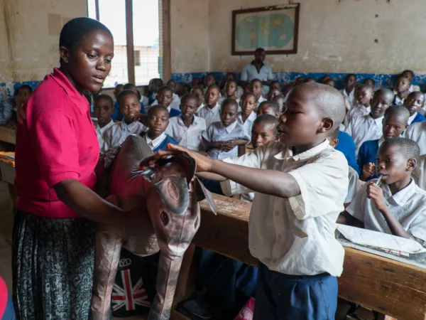 A child strokes a plastic donkey in an animal welfare class in Tanzania