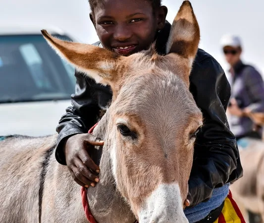 Child and donkey