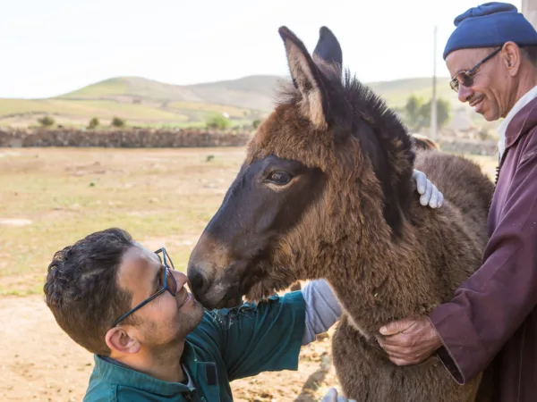 SPANA vet Youness during a home visit to check in on Najia's progress