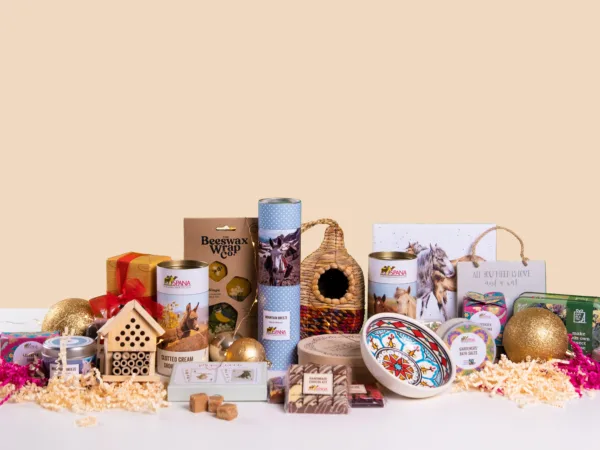 A selection of eco-friendly products from the SPANA charity shop