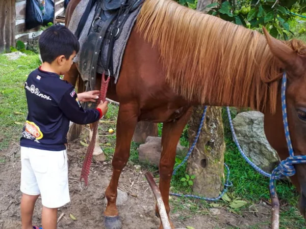 A boy looks after his family's horse, Costa Rica