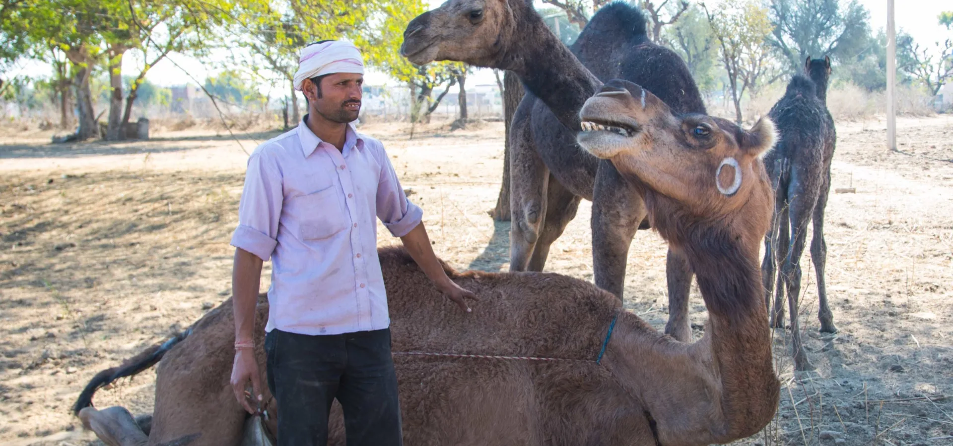 A SPANA funded mobile clinic vehicle in Rajasthan, India