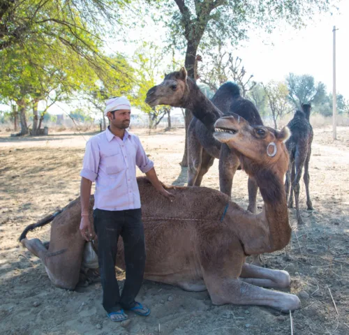A SPANA funded mobile clinic vehicle in Rajasthan, India