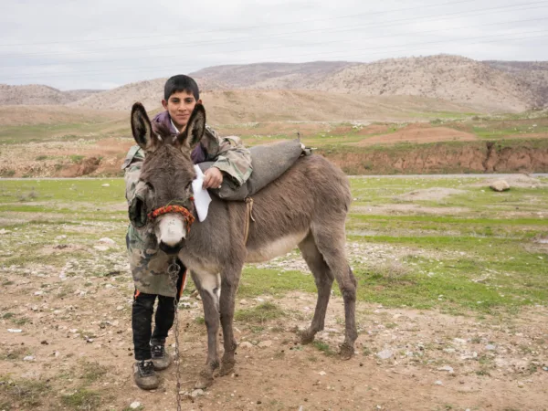 A Kurdish herder and his donkey at a mobile clinic
