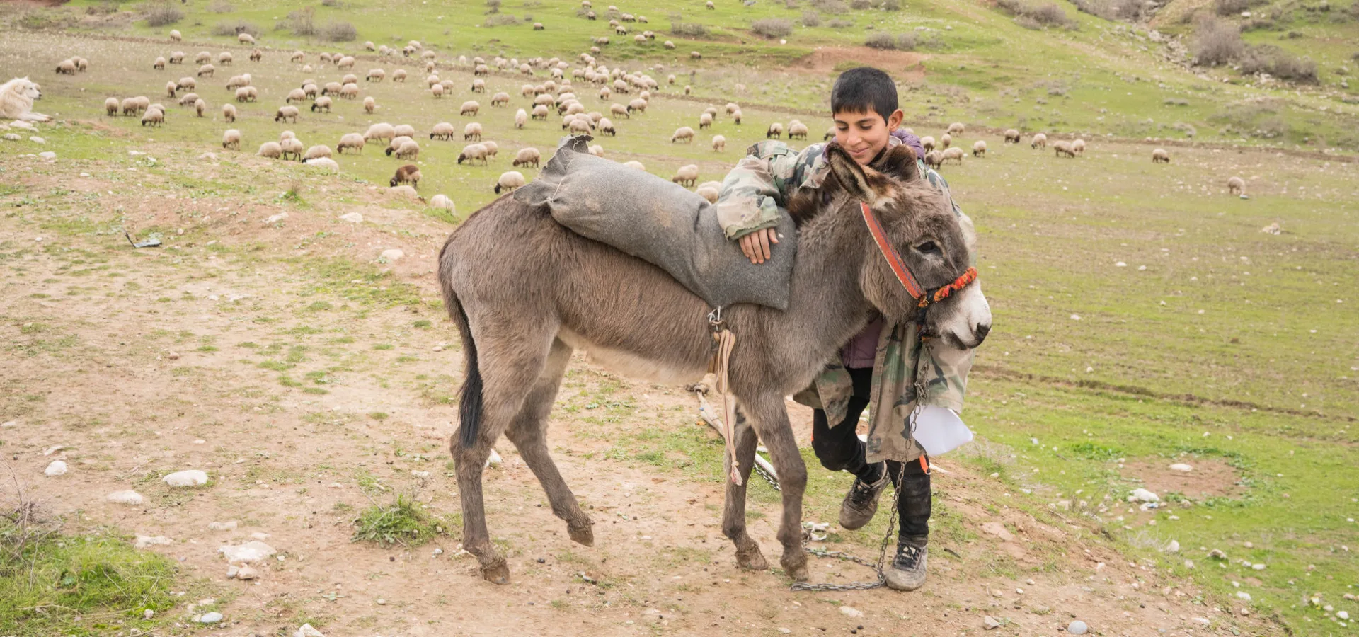 A Kurdish herder and his donkey at a mobile clinic
