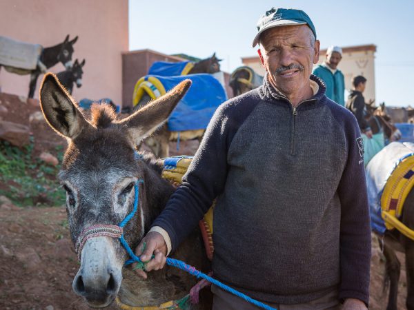A donkey and her owner at a SPANA mobile clinic in Morocco.