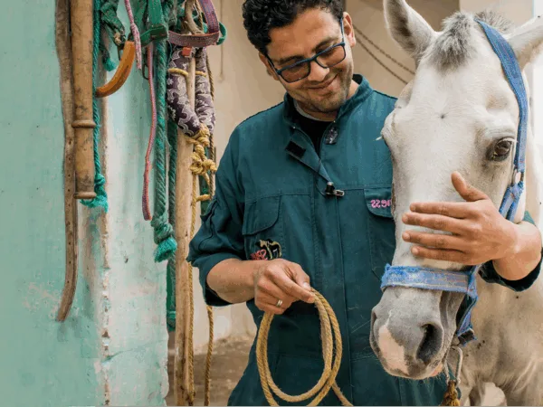 A lady stands in front of three camels in the Sahara Desert as she participates in a trek to raise funds for SPANA.