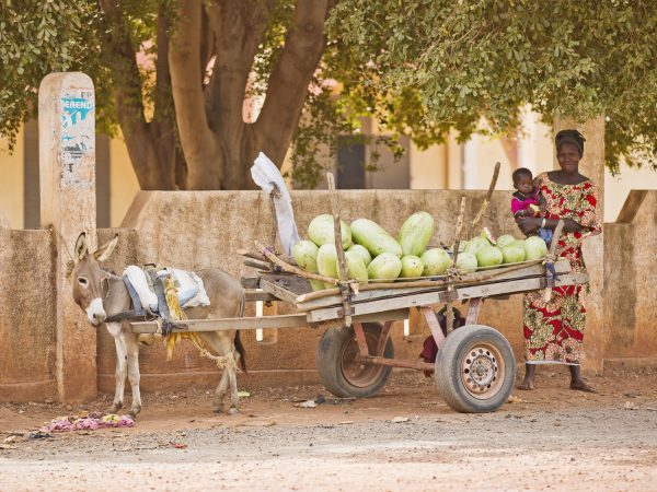 A woman and baby stand next to a donkey cart selling melons to the public.