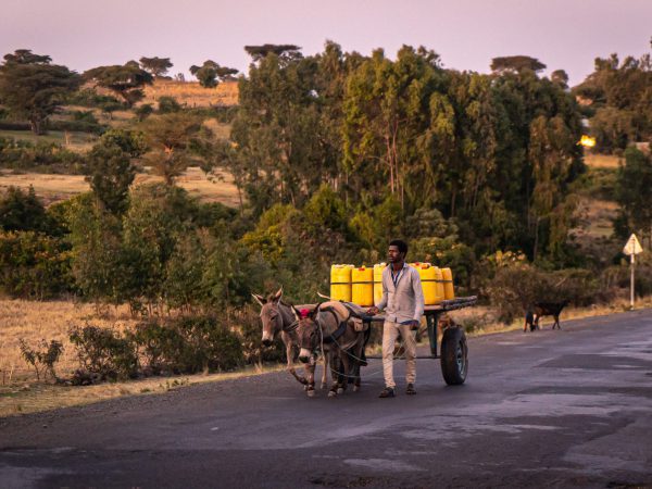 A man and his two donkeys transport water.