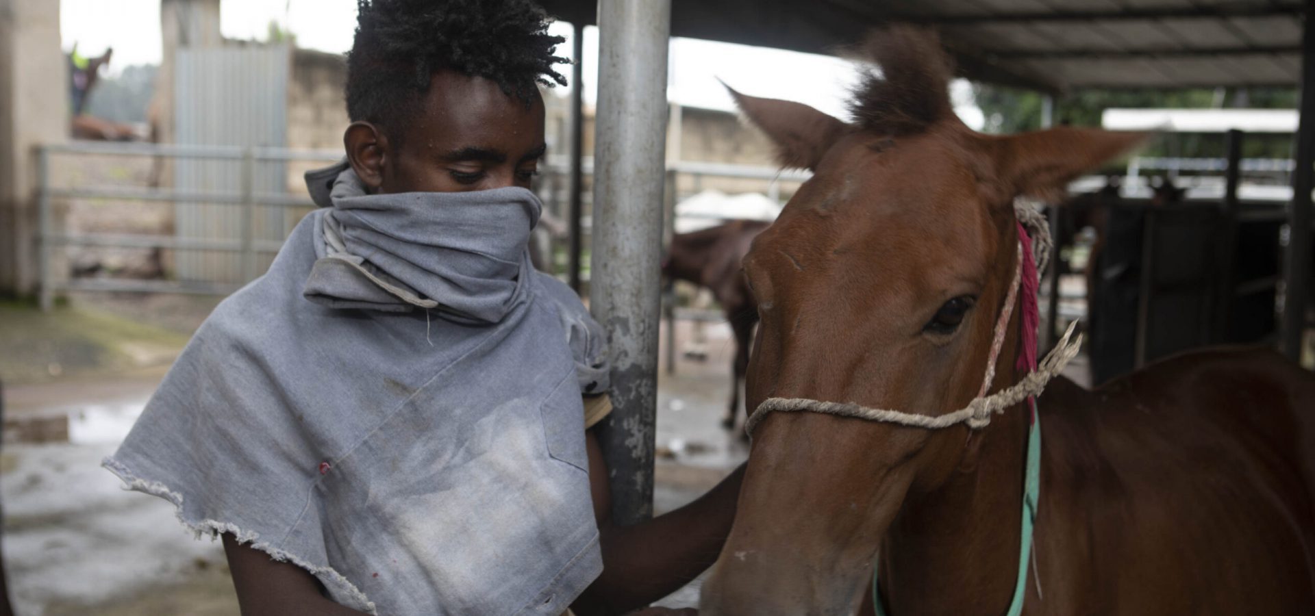 An owner and carthorse wait for treatment in Bishoftu, Ethiopia