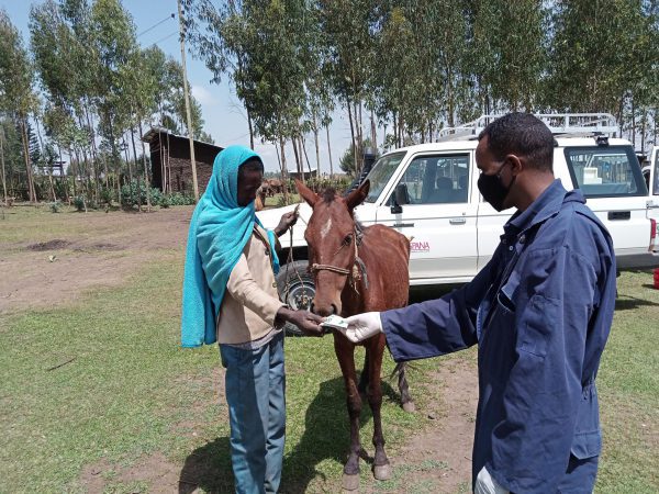 A owner receives medication to treat his horse's lameness