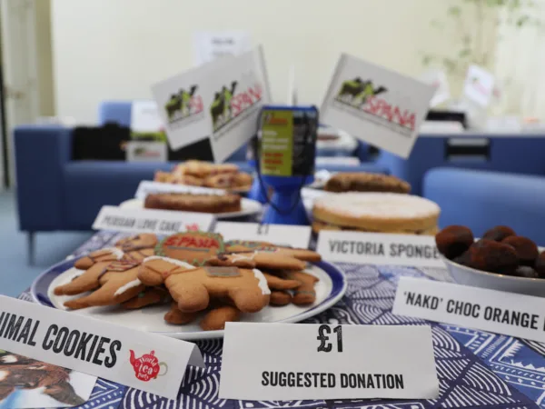SPANA baking fundraiser with a table full of cookies and cakes
