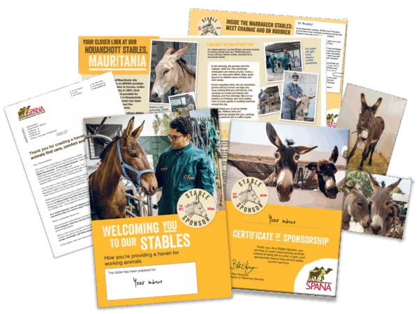 Stable Sponsor newsletter info pack