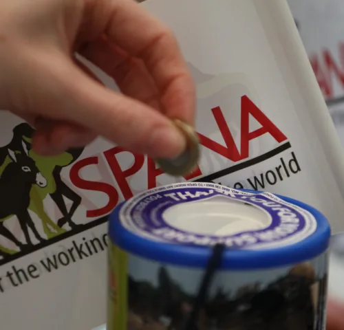 Person donating to SPANA at a fundraising event