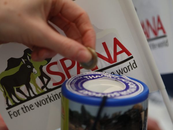 Person donating to SPANA at a fundraising event