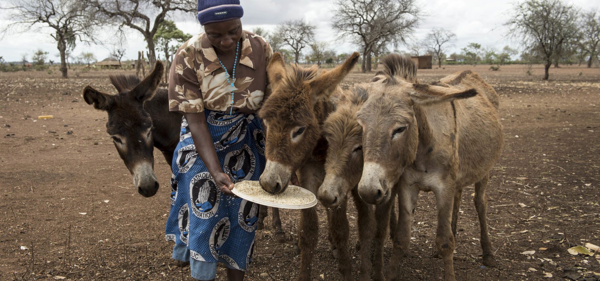 A lady dressed in a blouse, skirt and hat holds out a large plate of donkey food for four donkeys