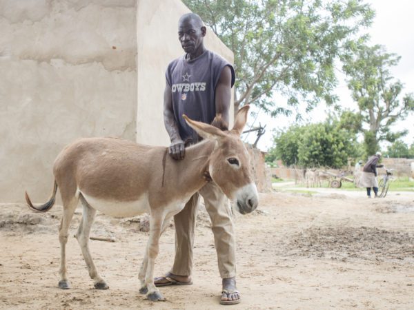 Man wearing a blue vest standing with a donkey