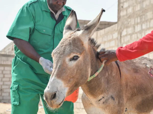 Aly being treated at the mobile clinic