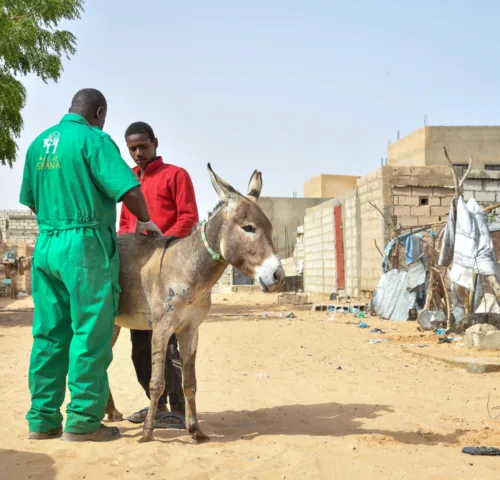 Aly received treatment at the mobile clinic