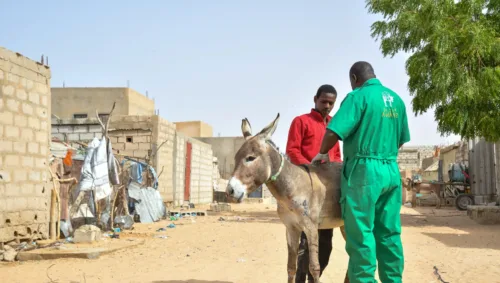Aly received treatment at the mobile clinic