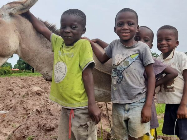 Children in Guinea meet a working donkey