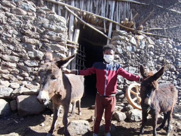 Boy wearing a red tracksuit standing beside two donkeys in front of a rock hut.