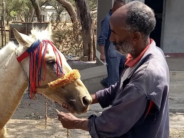 Man standing wearing a blow jacket holding the face of a cream horse.