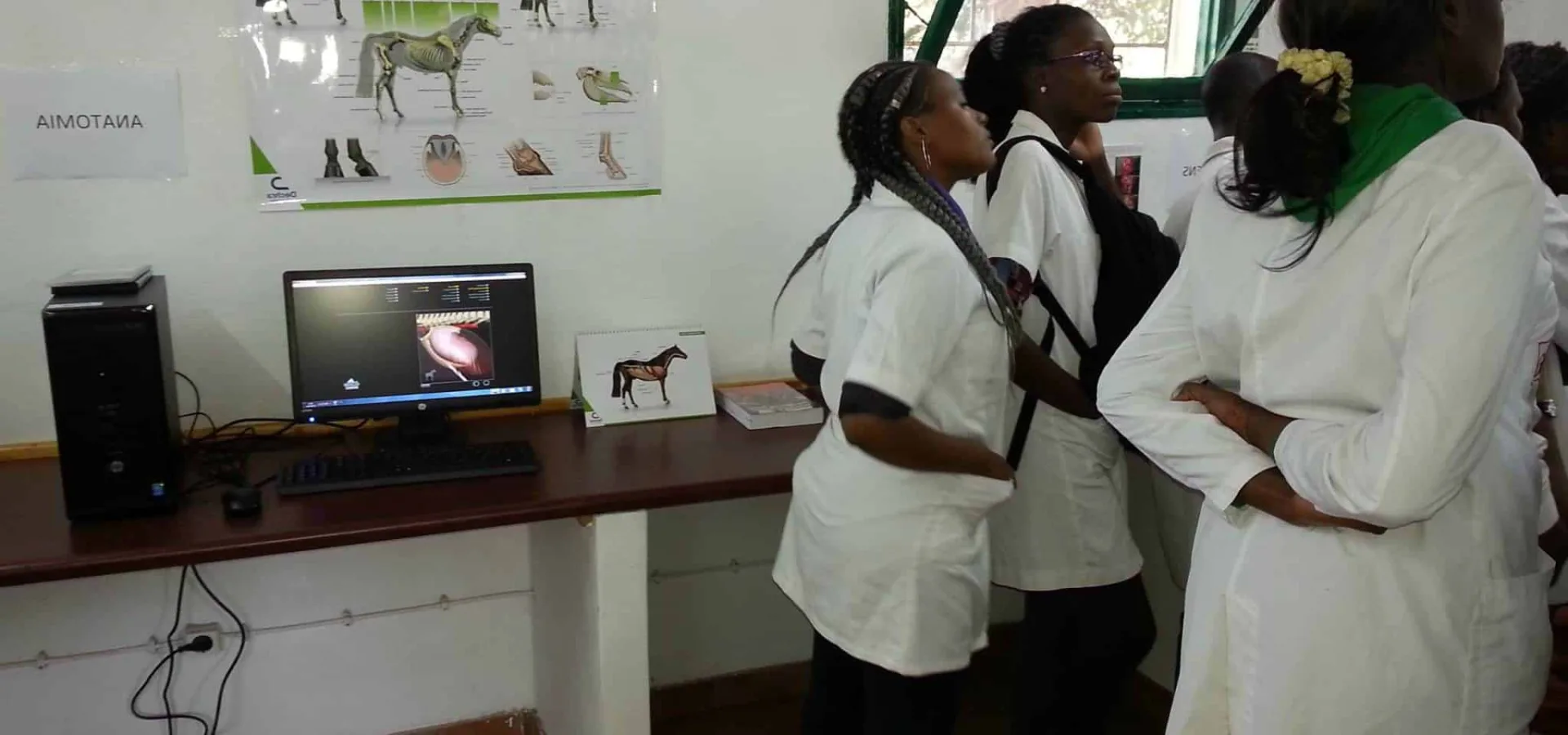 Inside a SPANA vet clinic in Mozambique with three vets looking to the right