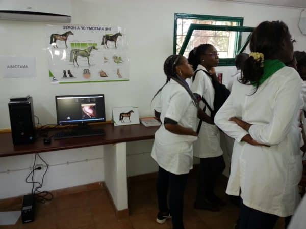 Inside a SPANA vet clinic in Mozambique with three vets looking to the right