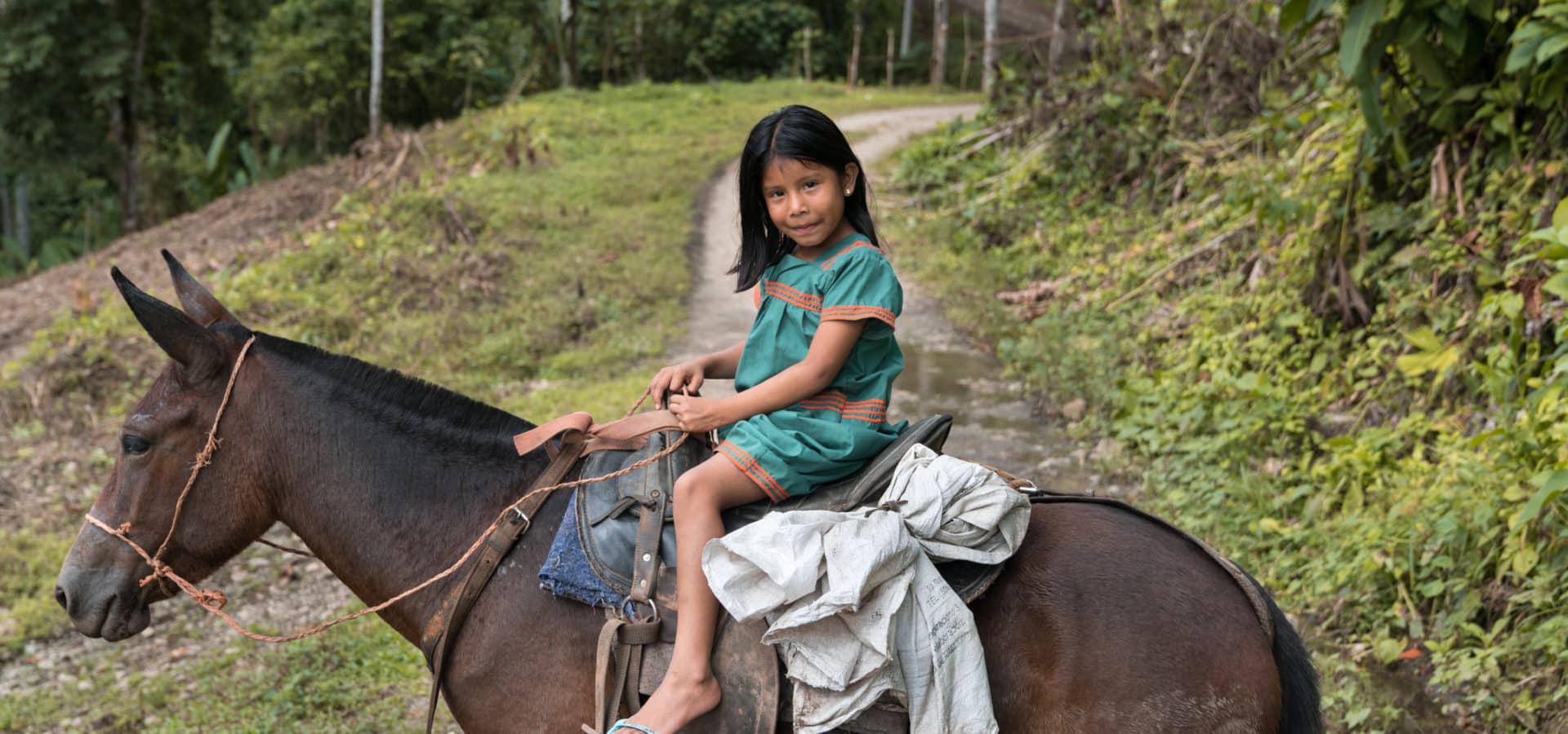 Little girl wearing a green dress riding a dark brown horse in the forest