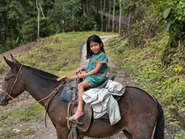 Little girl wearing a green dress riding a dark brown horse in the forest