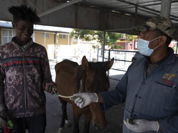 SPANA vet talking to horse owner and handing him equipment with the horse in the background