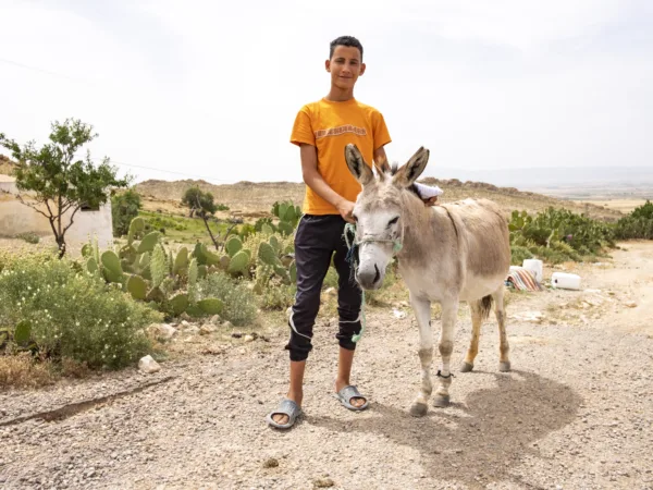 a man wearing a bright orange top holding a light grey donkey.