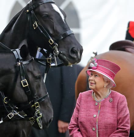Queen Elizabeth II standing wearing a pink outfit with her two black horses smiling up at them.
