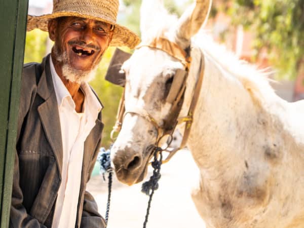 a man smiling holding his white mule with the mule in the background