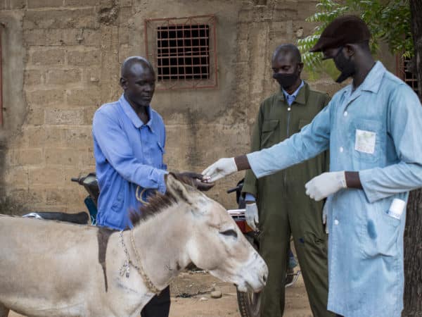 Three men, one in a blue lab coat handing over something to one of the other men and a light brown donkey in front of them.