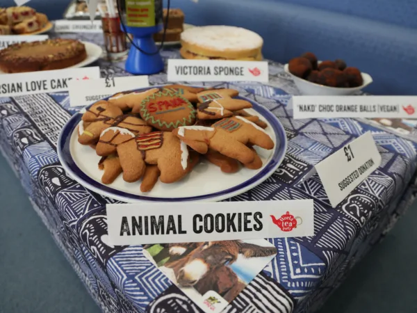 A plate of animal-shaped cookies on a table, raising money for SPANA charity