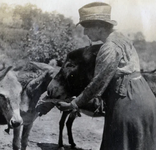 black and white photo of SPANA founder Kate Hosali examining the back of an animal