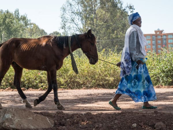 A horse and his owner in Ethiopia