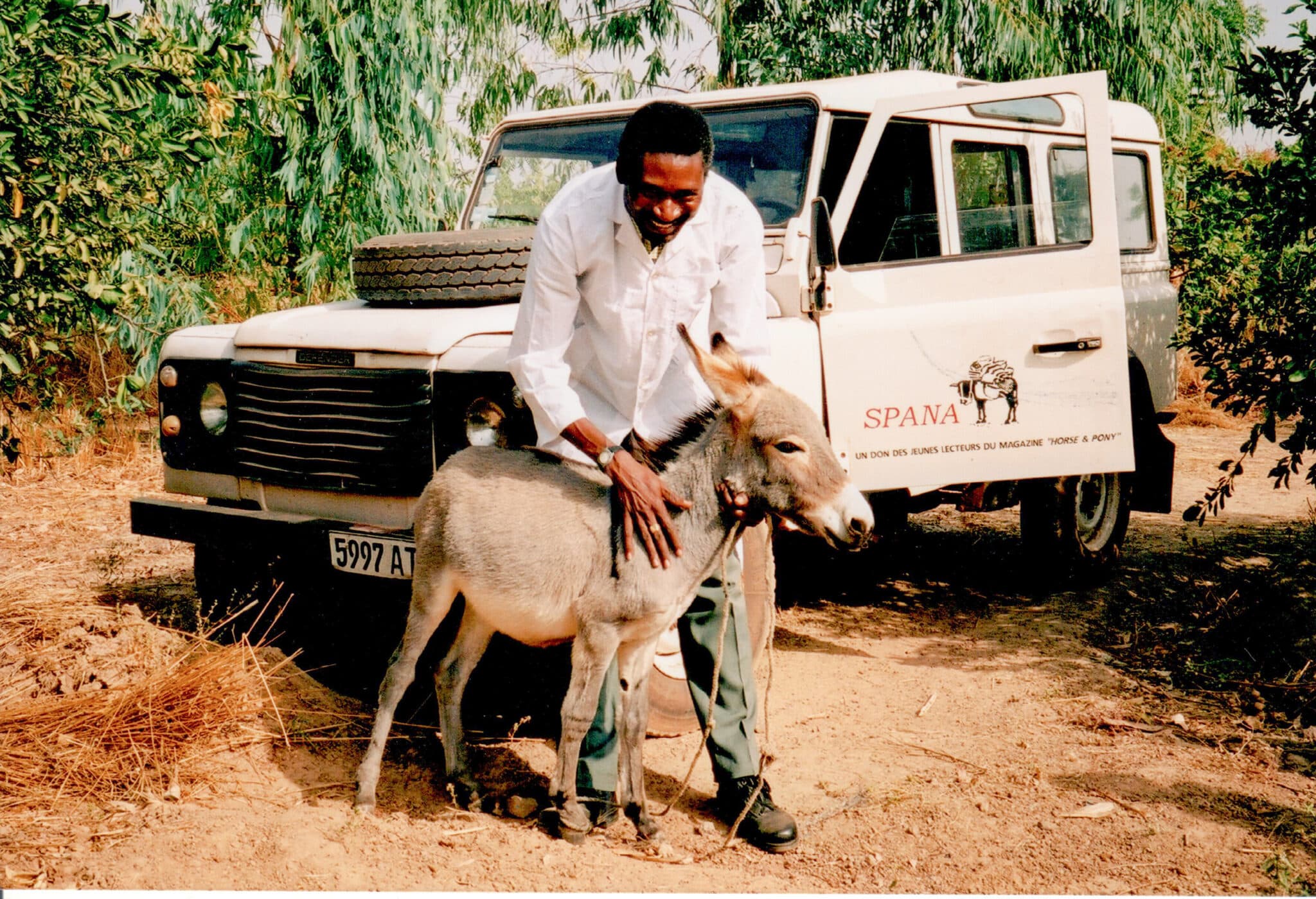 a man, a vet from charity SPANA, holds a young grey foal in front of a SPANA van