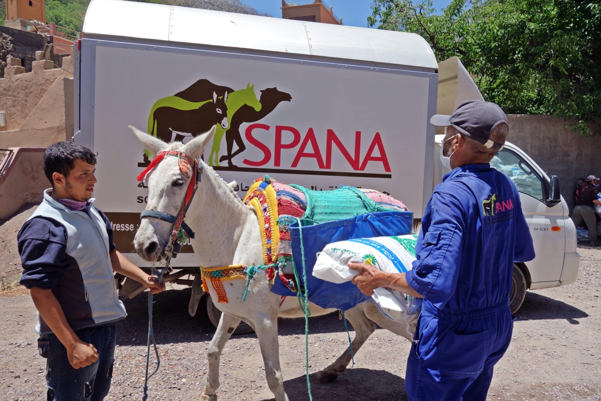 owner and SPANA vet standing next to a white mule, in the background is a SPANA van