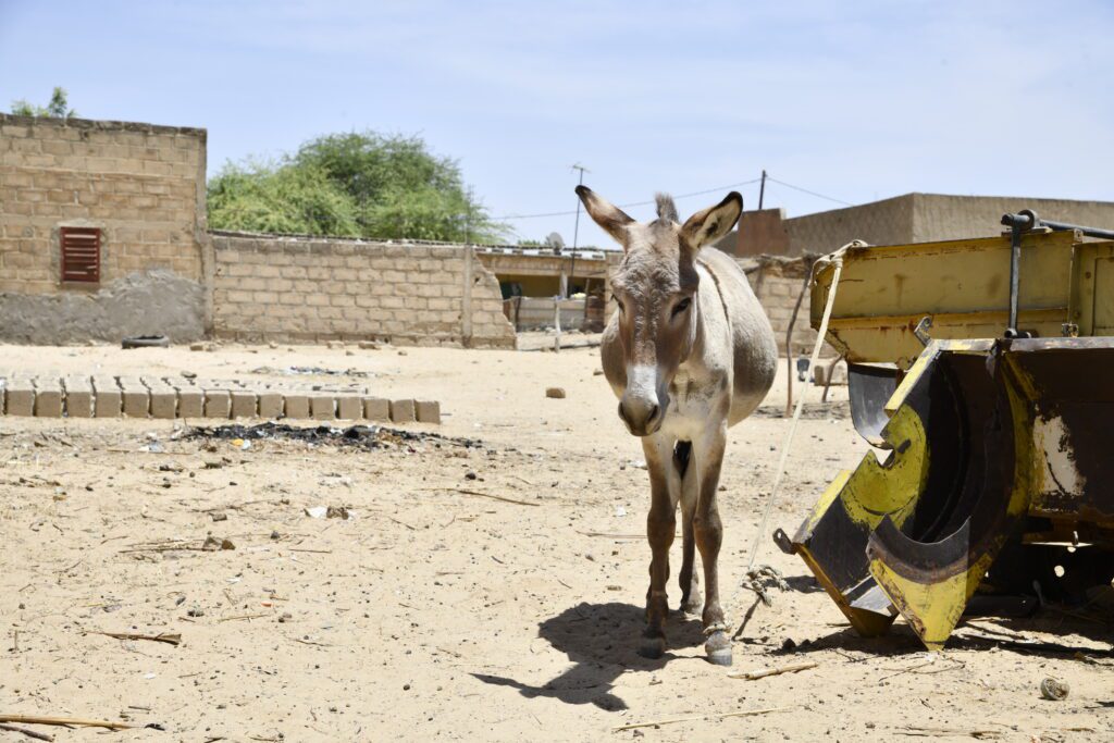 Read your special annual edition of Stablemate SPANA