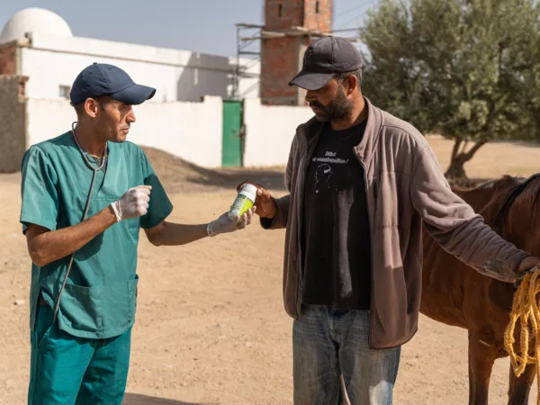 An owner receives medication for his working horse at a SPANA mobile clinic in Tunisia
