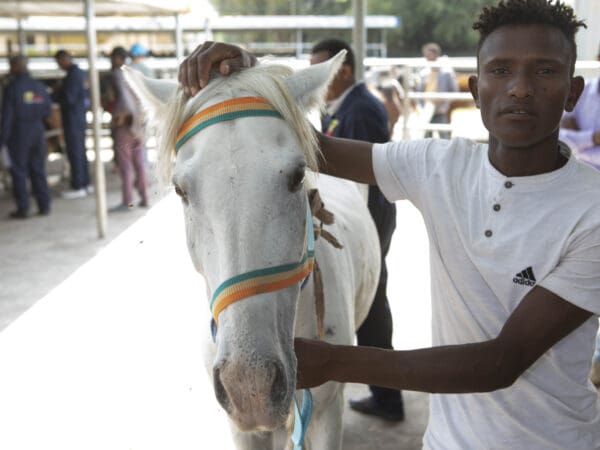 An owner seeks treatment for his horse at SPANA's veterinary centre in Ethiopia