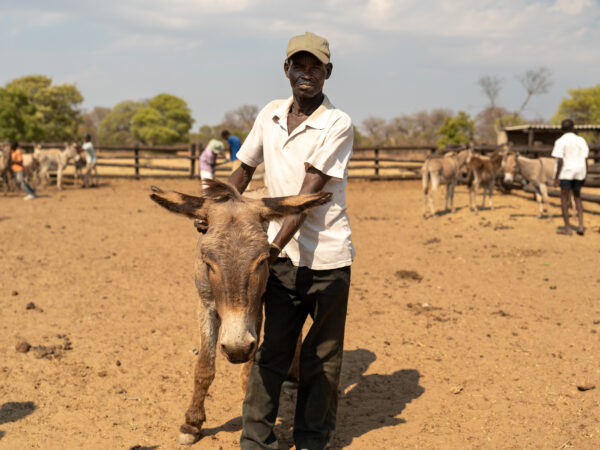 A donkey and her owner wait for treatment at a SPANA mobile clinic in Zimbabwe