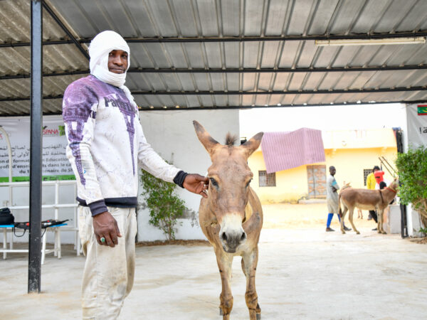 A working donkey and his owner visit SPANA's veterinary centre in Mauritania for treatment
