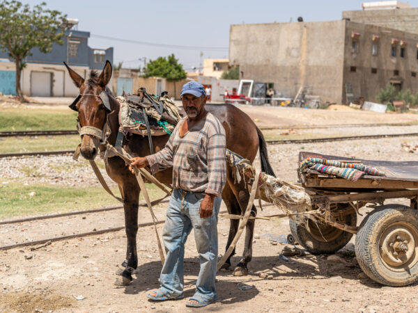 A working mule and its owner wait for treatment at a SPANA veterinary clinic in Tunisia