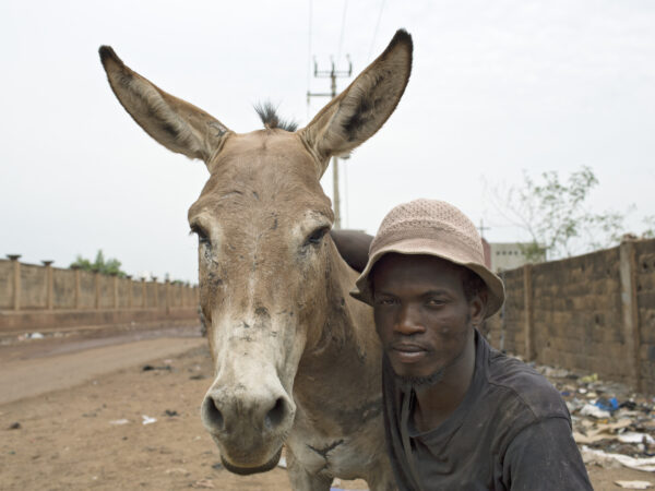 A rubbish dump donkey and owner in Mali