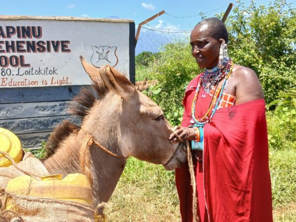 Working donkeys play a vital role during periods of drought